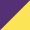 Purple & Sun Yellow